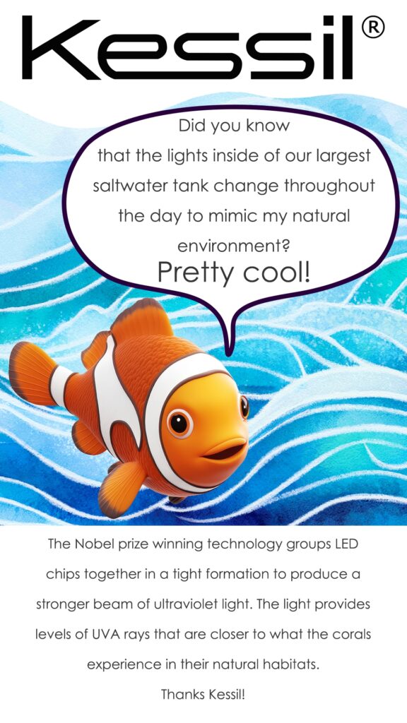 Kessil Aquarium Sponsor